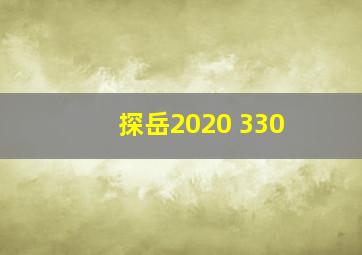 探岳2020 330